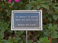 A close-up view of the memorial marker for Mona and Jack Greene in front of the larger azalea bush.