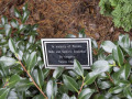 A close-up view of the memorial marker for Belle and Sanford Rockman.