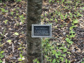 A close-up view of the marker of appreciation for Henry Windmuller.