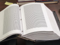 A view of two of the pages in this bound document. Each star represents one Jew who was killed in the Holocaust.
